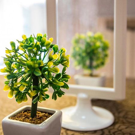 Hotel Nuovo Fiore Каттолика Экстерьер фото